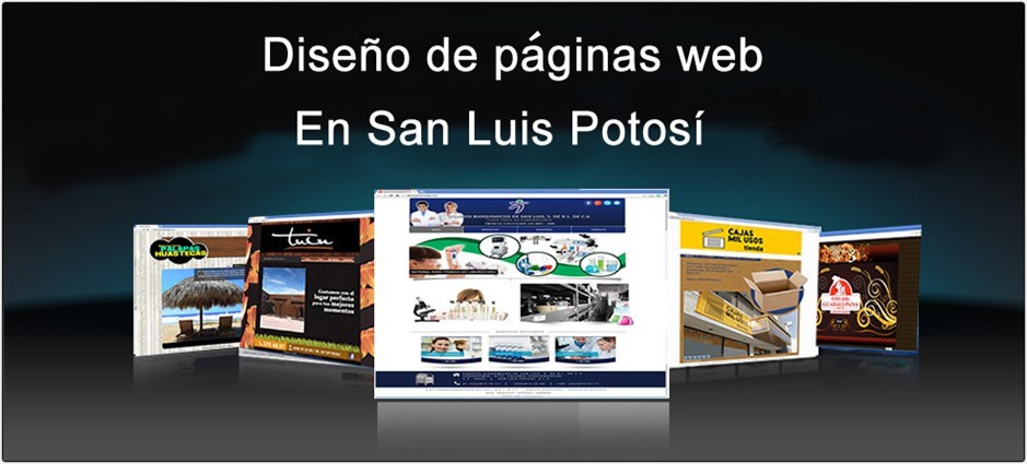 Paginas web en san luis potosi